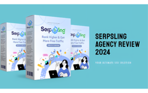 Read more about the article SerpSling Agency helps you become a better consultant and developer